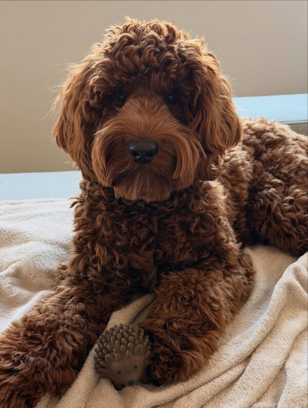 Hope photo 3