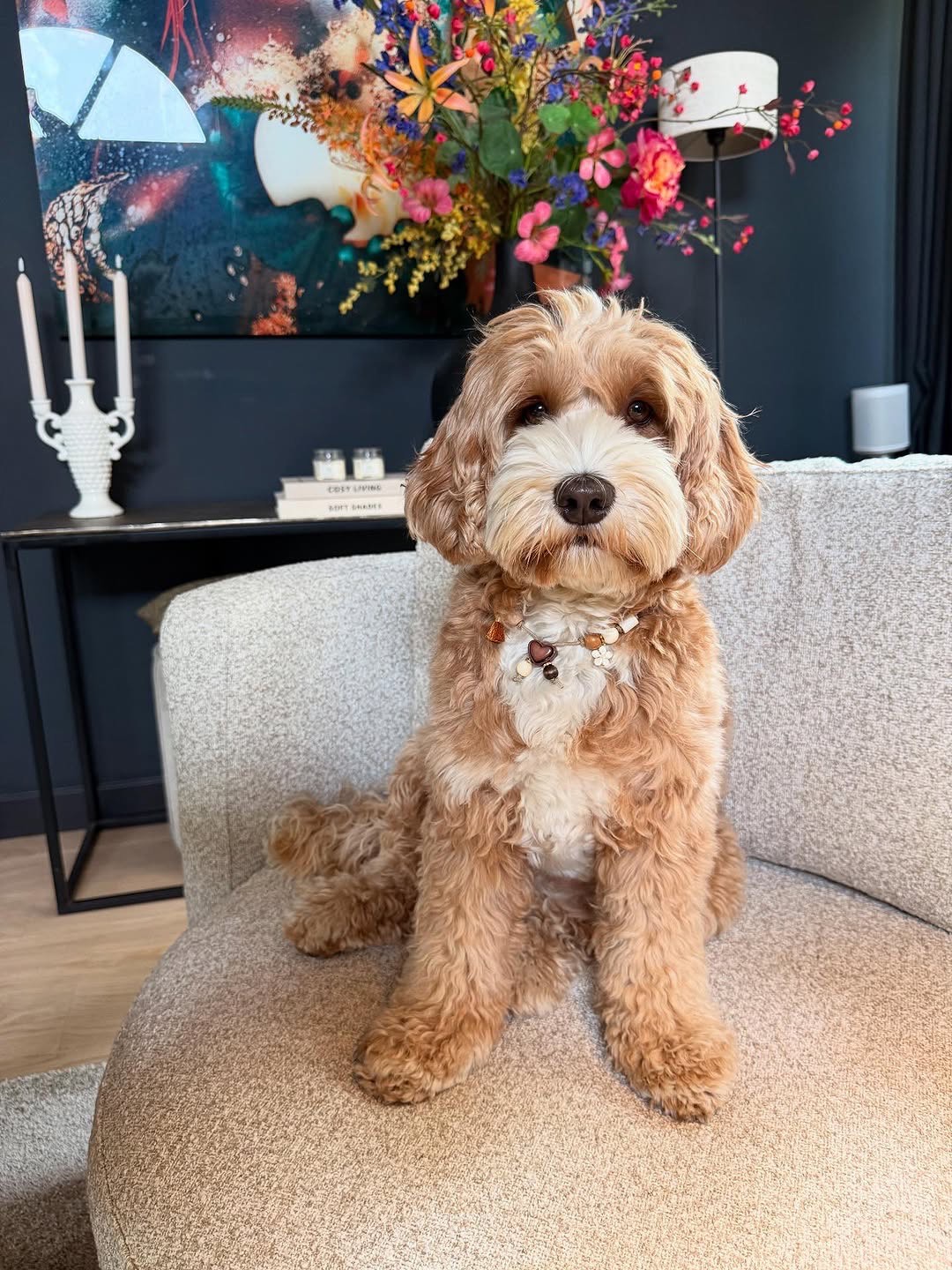 Cute doodle dog indoors with flowers